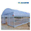 Single Span Tunnel Film Agricultural Greenhouse